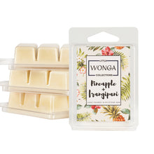 Load image into Gallery viewer, PINEAPPLE & FRANGIPANI - SOY MELT
